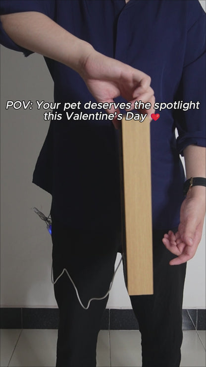 Valentine Disney Pet Glow Frame 💕